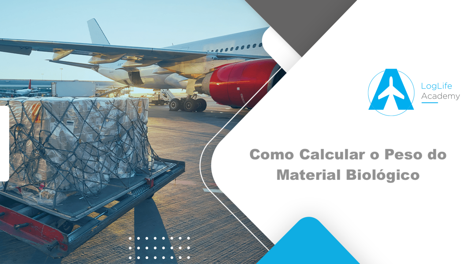 Como Calcular o Peso do Material Biológico
